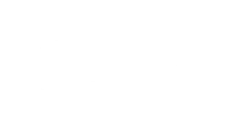 pixel2022